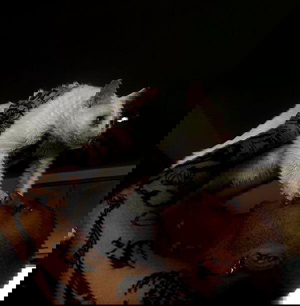 nikkibitez nikkibitez archive image