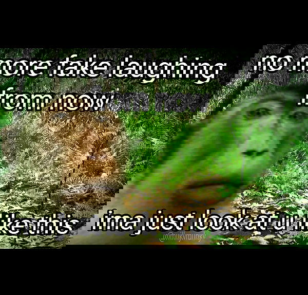 nikkibitez nikkibitez archive image