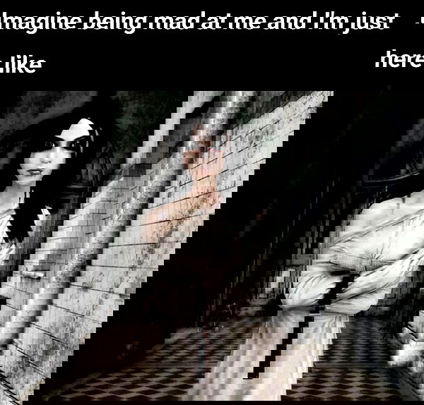 nikkibitez nikkibitez archive image