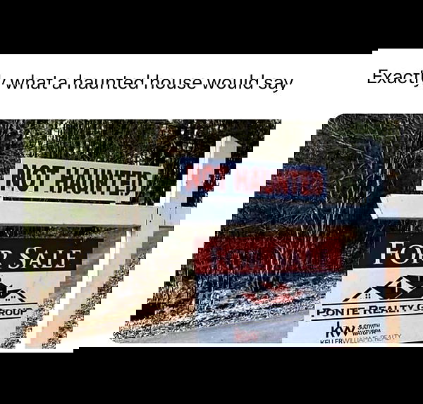 nikkibitez nikkibitez archive image