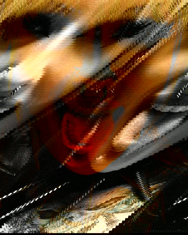 nikkibitez nikkibitez archive image