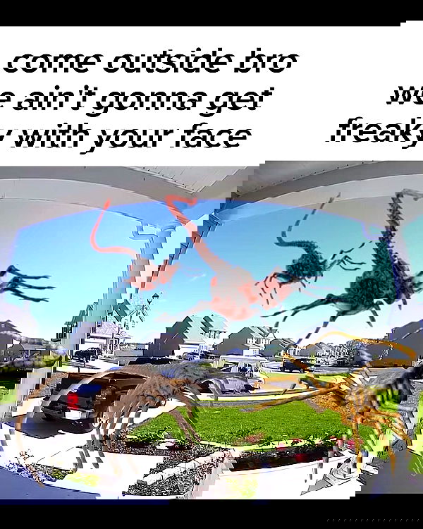 nikkibitez nikkibitez archive image