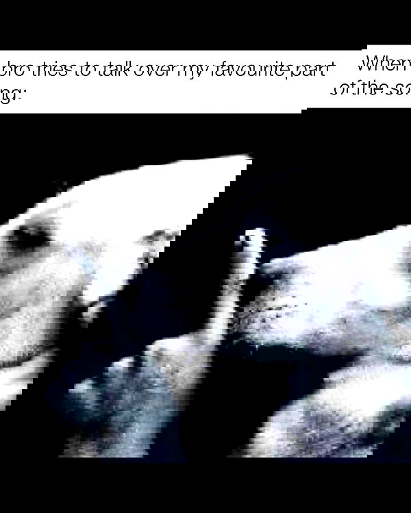 nikkibitez nikkibitez archive image