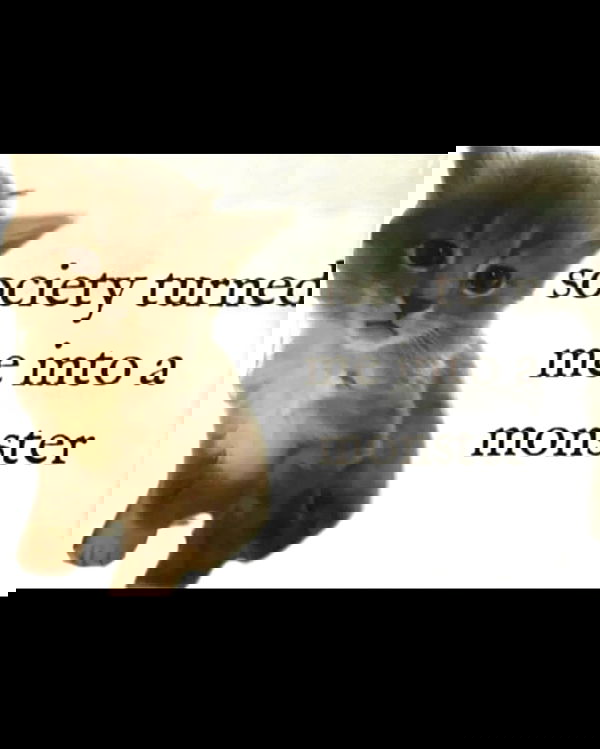 nikkibitez nikkibitez archive image