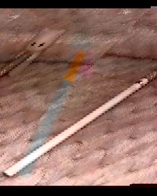 nikkibitez nikkibitez archive image