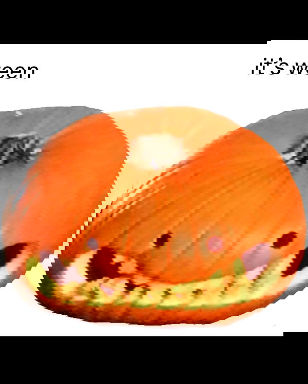 nikkibitez nikkibitez archive image