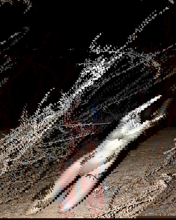 nikkibitez nikkibitez archive image