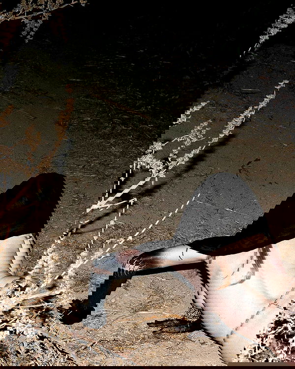 nikkibitez nikkibitez archive image