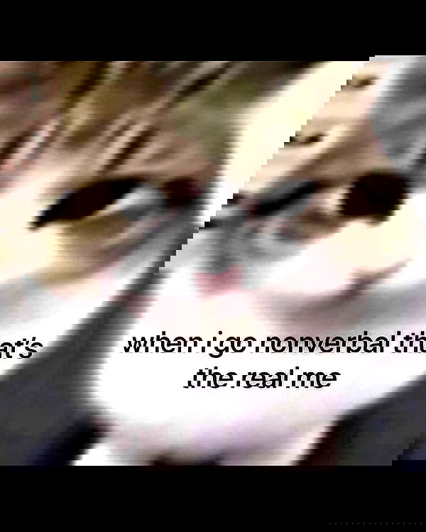 nikkibitez nikkibitez archive image