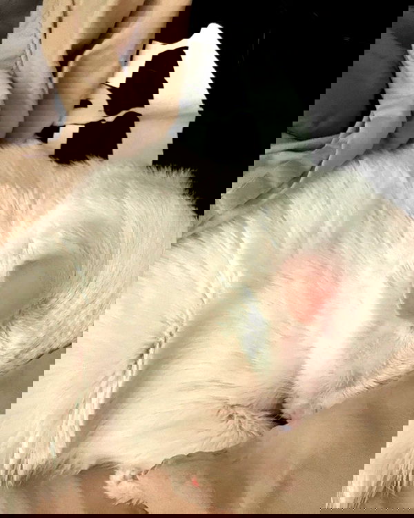 nikkibitez nikkibitez archive image