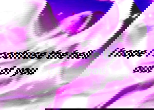 nikkibitez nikkibitez archive image