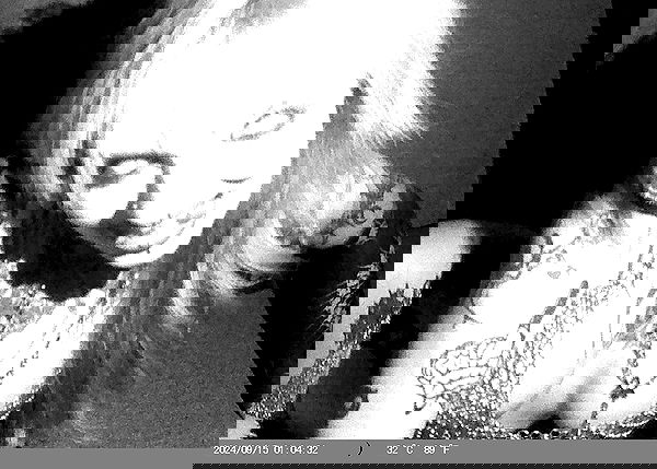 nikkibitez nikkibitez archive image