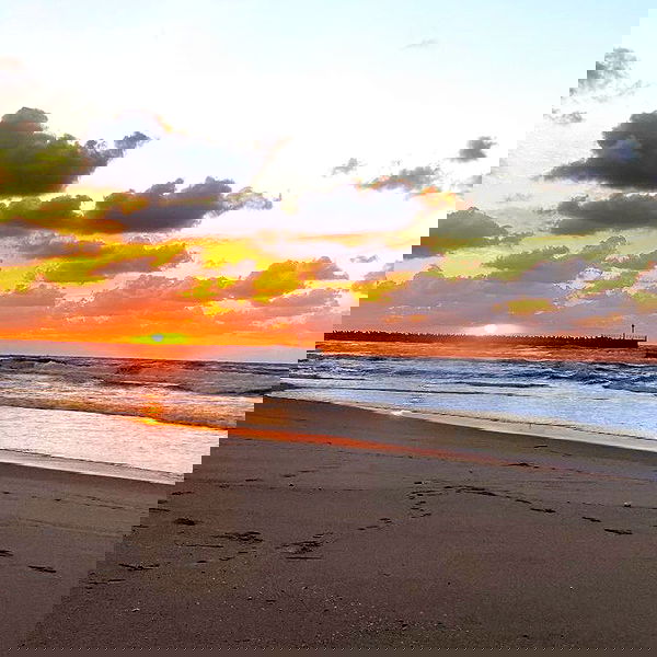 nikolll_._6 image ~ Altpins