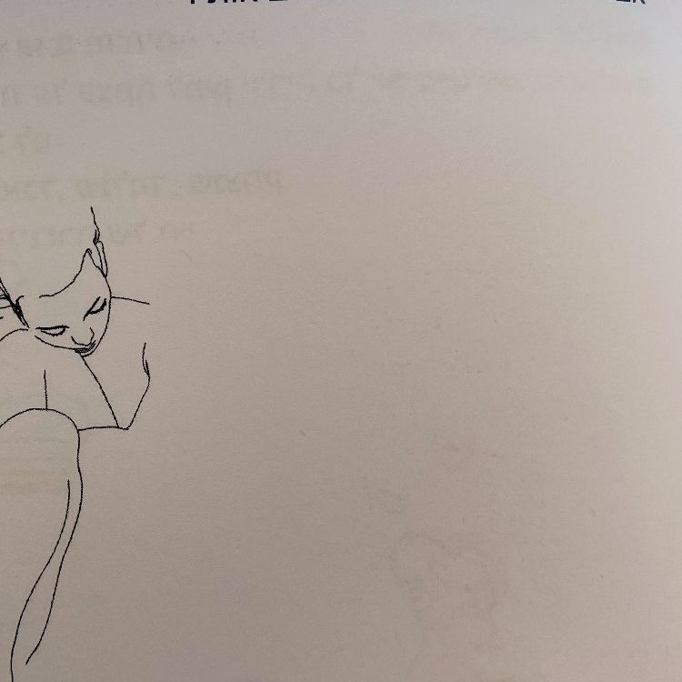 nikolll_._6 instagram image archive image