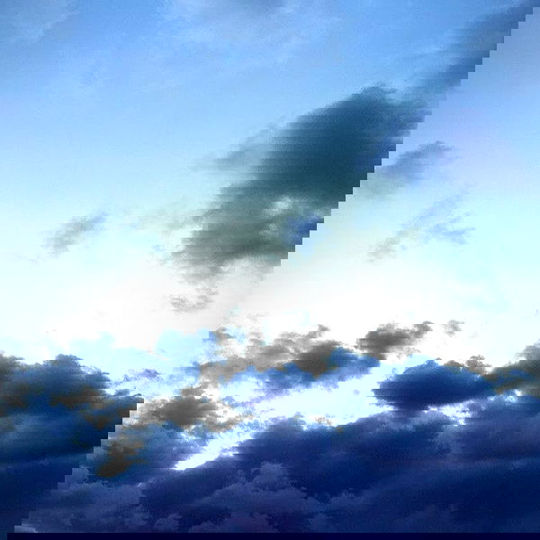 nikolll_._6 image ~ Altpins