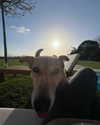 noa_freund Altpins Profile Picture