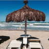 noa_mendel_ Altpins Profile Picture