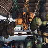 noa_mendel_ Altpins Profile Picture