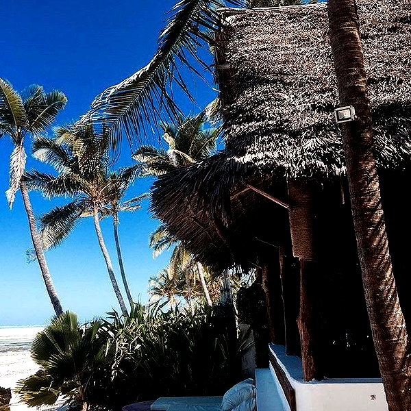 noa_mendel_ instagram image archive image