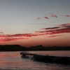 noa_mendel_ Altpins Profile Picture