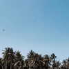 noa_mendel_ Altpins Profile Picture