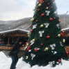 noa_mendel_ Altpins Profile Picture