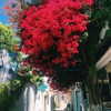 noa_mendel_ Altpins Profile Picture