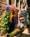 noa_mendel_ Altpins Profile Picture