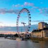 noa_mendel_ Altpins Profile Picture