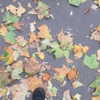 noa_mendel_ Altpins Profile Picture