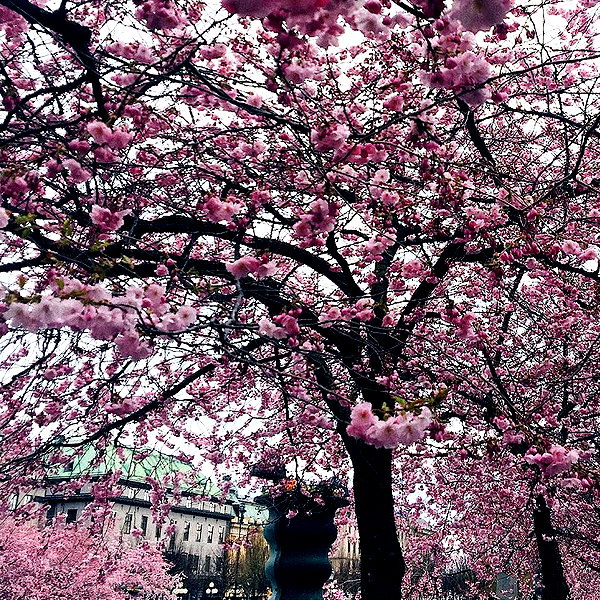 noa_mendel_ instagram image archive image