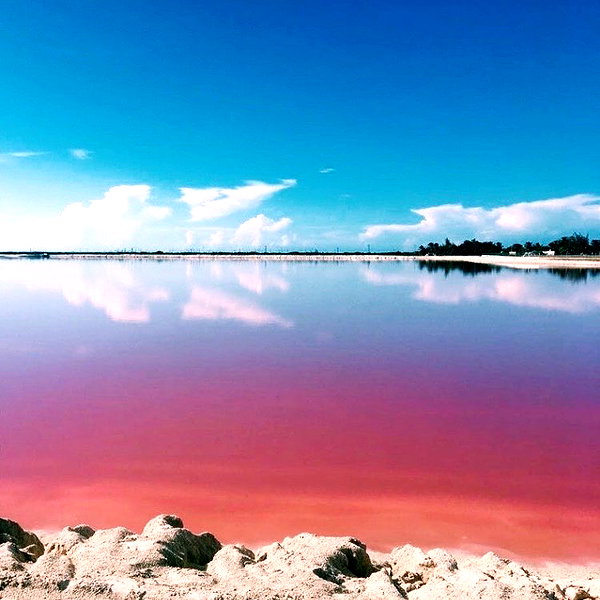 noa_mendel_ instagram image archive image