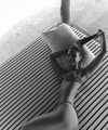 noa_mendel_ Altpins Profile Picture