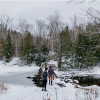 noa_mendel_ Altpins Profile Picture