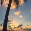noa_mendel_ Altpins Profile Picture