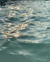 noa_mendel_ Altpins Profile Picture