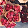 noa_mendel_ Altpins Profile Picture