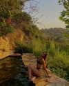 noa_mendel_ Altpins Profile Picture