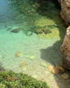 noa_mendel_ Altpins Profile Picture