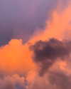 noa_mendel_ Altpins Profile Picture