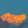 noa_mendel_ Altpins Profile Picture