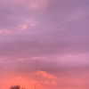 noa_mendel_ Altpins Profile Picture