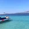 noa_mendel_ Altpins Profile Picture