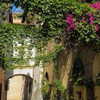 noa_mendel_ Altpins Profile Picture
