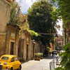 noa_mendel_ Altpins Profile Picture