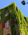 noa_mendel_ Altpins Profile Picture