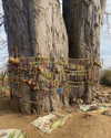 noa_mendel_ Altpins Profile Picture