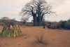 noa_mendel_ Altpins Profile Picture