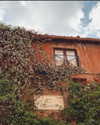 noa_mendel_ Altpins Profile Picture