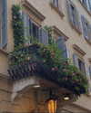 noa_mendel_ Altpins Profile Picture
